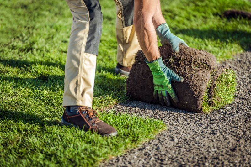 Commercial Sod Installation