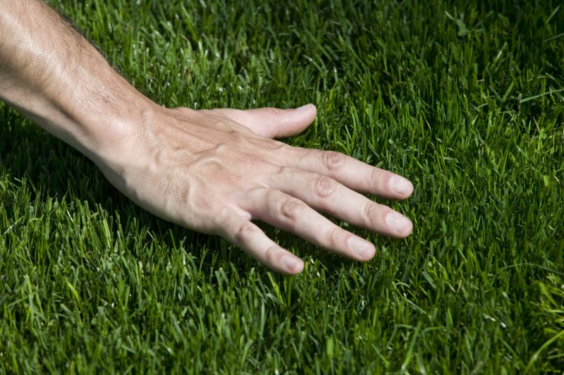 Lawn Replacement in Ventura County, CA