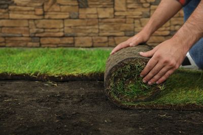 Sod Laying Service