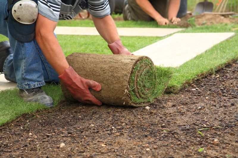 Sod Installation Process