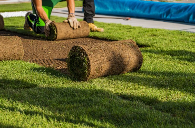 Yard Sod Replacement