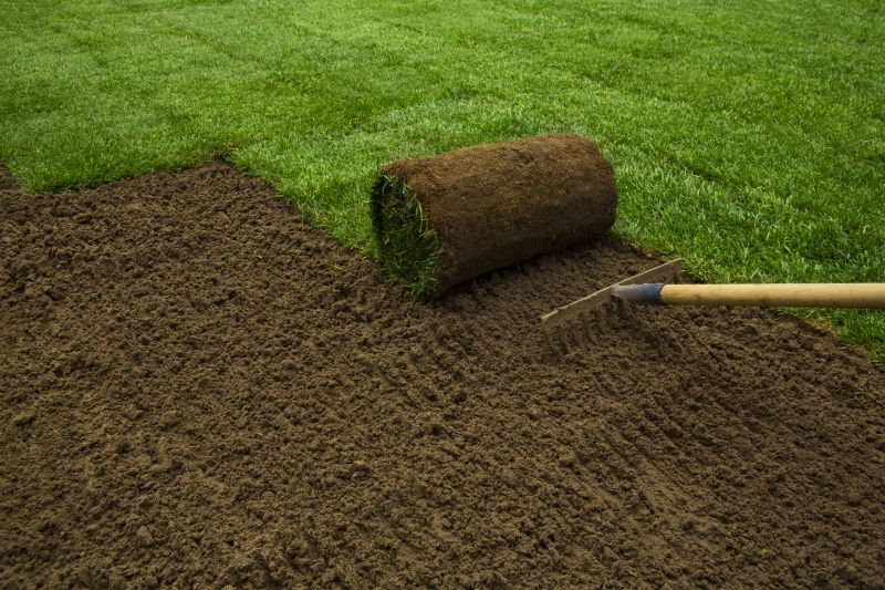 Revitalized Landscape